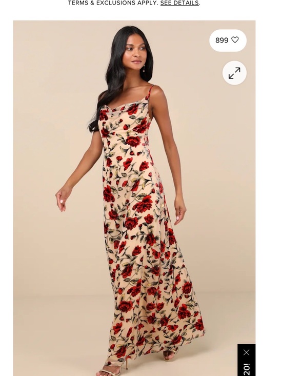 Lulus Dresses & Skirts - Lulu's Cream Maxi Dress with Red Rose Print